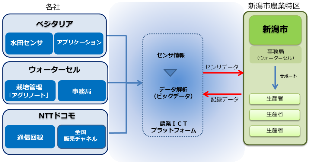 プロジェクト全体図