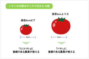 トマトの分類はサイズで決まる