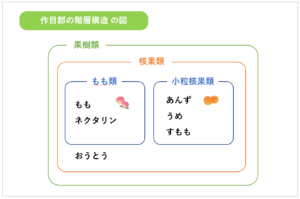 作目郡の階層構造