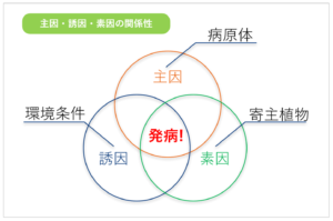 主因誘因素因の関係図