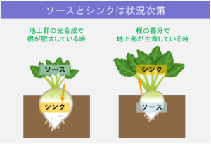 ソースとシンク前編01