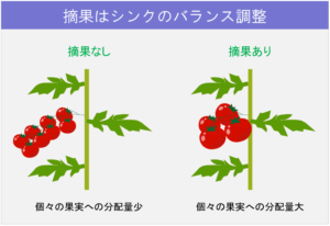 ソースとシンク前編02