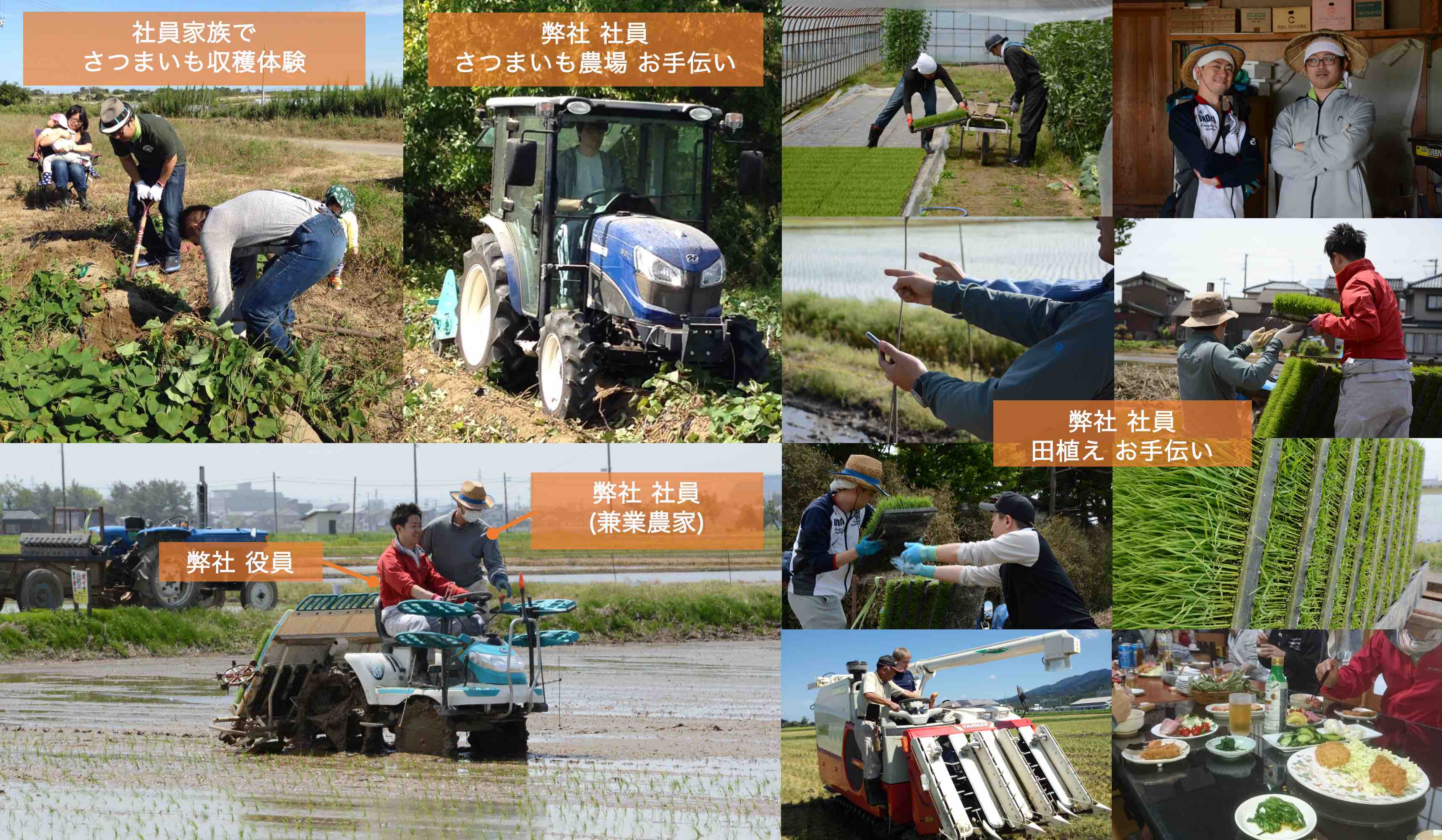 会社の雰囲気・農業研修・農業体験