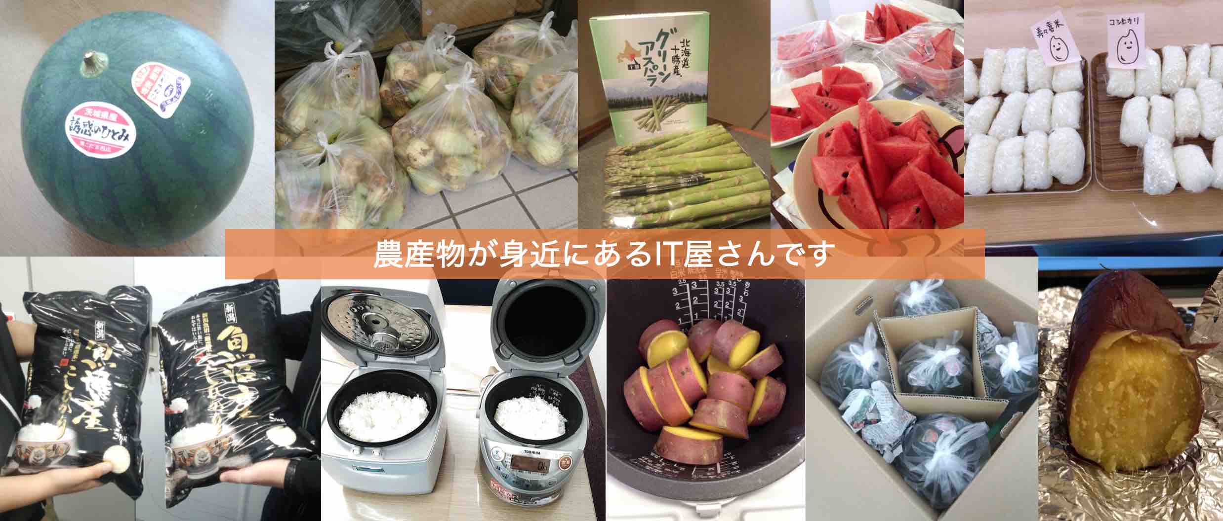 会社の雰囲気・農産物が身近にあるIT屋さん