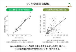 土壌診断04_ECと窒素量の関係