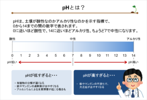 土壌診断03_pH