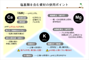 #7塩基類とpH