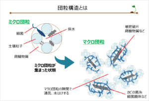 図10-腐植（団粒構造について）