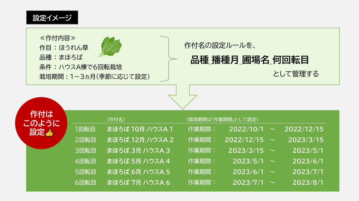 OKI_sakutuke-plan